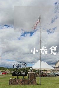 小米贷款逾期一天还能接不 小米贷款逾期一天还能接不