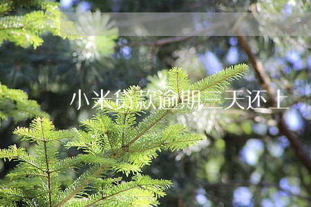 小米贷款逾期三天还上 小米贷款逾期三天还上
