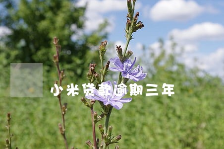 小米贷款逾期三年 小米贷款逾期三年