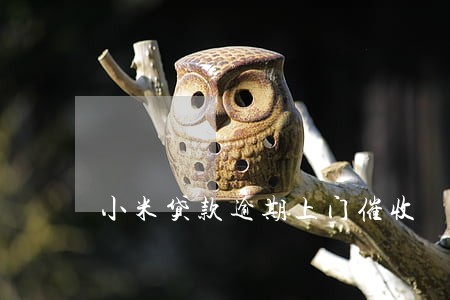 小米贷款逾期上门催收 小米贷款逾期上门催收