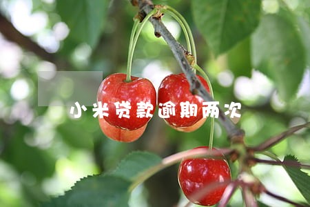小米贷款逾期两次