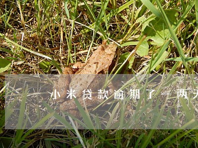 小米贷款逾期了一两天有事吗 小米贷款逾期了一两天有事吗