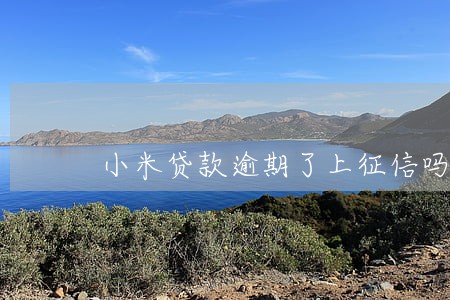 小米贷款逾期了上征信吗 小米贷款逾期了上征信吗