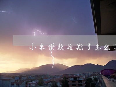 小米贷款逾期了怎么算利息 小米贷款逾期了怎么算利息