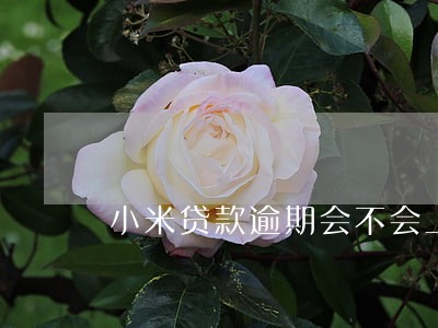 小米贷款逾期会不会上门 小米贷款逾期会不会上门