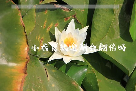 小米贷款逾期会翻倍吗