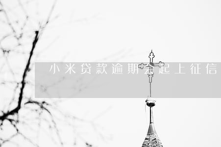 小米贷款逾期会起上征信 小米贷款逾期会起上征信