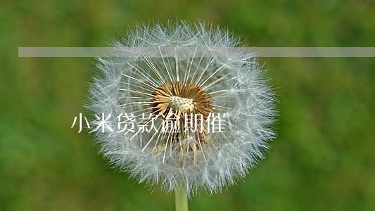 小米贷款逾期催 小米贷款逾期催