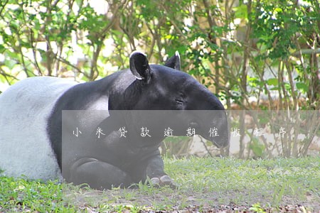 小米贷款逾期催收程序 小米贷款逾期催收程序