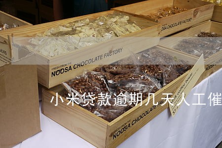 小米贷款逾期几天人工催收 小米贷款逾期几天人工催收