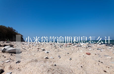 小米贷款逾期利息怎么计 小米贷款逾期利息怎么计