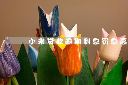 小米贷款逾期利息罚息高 小米贷款逾期利息罚息高