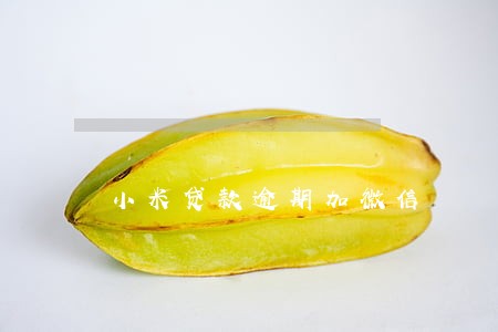 小米贷款逾期加微信