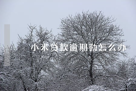 小米贷款逾期勒怎么办 小米贷款逾期勒怎么办