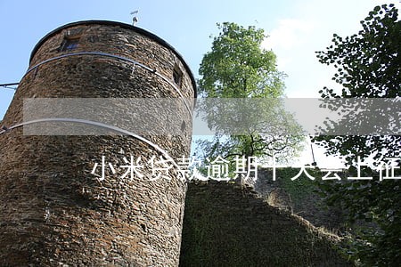 小米贷款逾期十天会上征信吗 小米贷款逾期十天会上征信吗