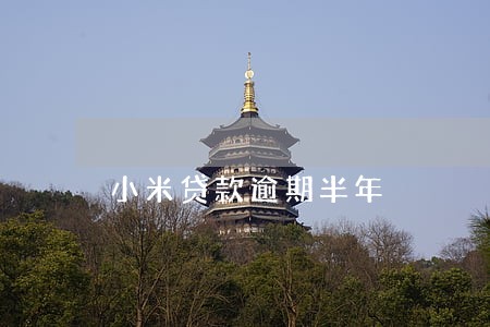 小米贷款逾期半年 小米贷款逾期半年
