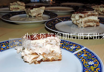 小米贷款逾期后借不出来
