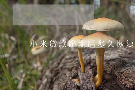 小米贷款逾期后多久恢复额度 小米贷款逾期后多久恢复额度