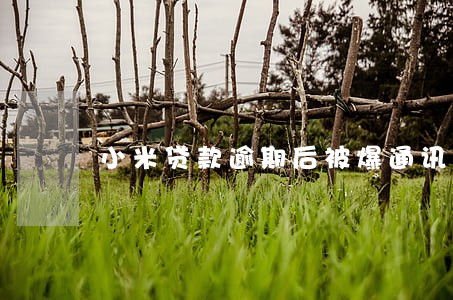 小米贷款逾期后被爆通讯录 小米贷款逾期后被爆通讯录