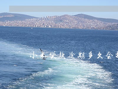 小米贷款逾期多久会打电话 小米贷款逾期多久会打电话