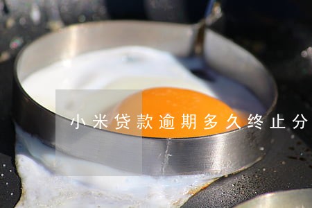 小米贷款逾期多久终止分期 小米贷款逾期多久终止分期