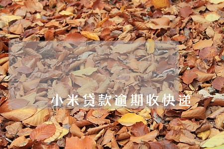 小米贷款逾期收快递 小米贷款逾期收快递