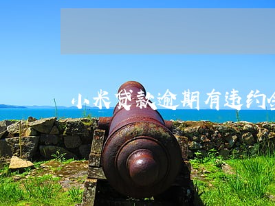 小米贷款逾期有违约金 小米贷款逾期有违约金