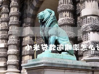 小米贷款逾期率怎么计算器 小米贷款逾期率怎么计算器