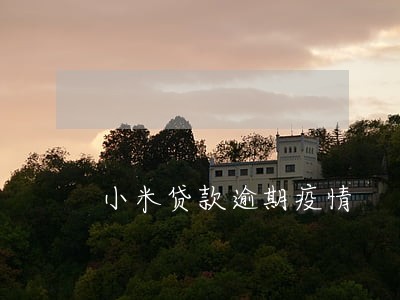 小米贷款逾期疫情 小米贷款逾期疫情