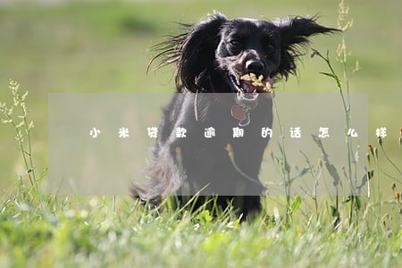 小米贷款逾期的话怎么样 小米贷款逾期的话怎么样