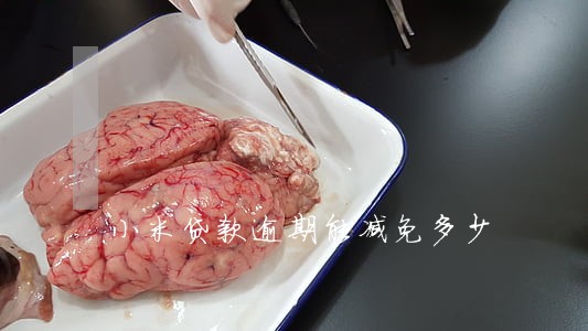 小米贷款逾期能减免多少