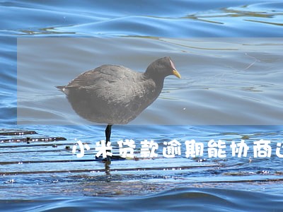 小米贷款逾期能协商还本金吗 小米贷款逾期能协商还本金吗