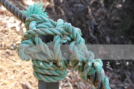 小米贷款逾期要求还一半 小米贷款逾期要求还一半