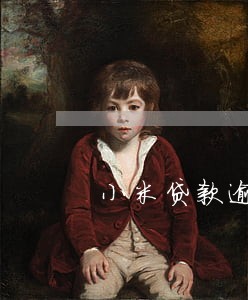 小米贷款逾期资产保全 小米贷款逾期资产保全