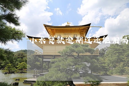 小米贷款逾期过还能用吗 小米贷款逾期过还能用吗