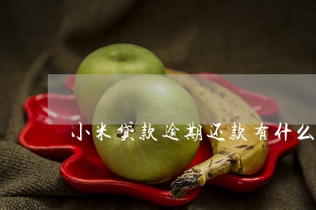 小米贷款逾期还款有什么后果