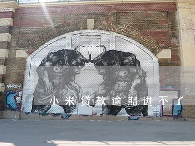 小米贷款逾期进不了 小米贷款逾期进不了