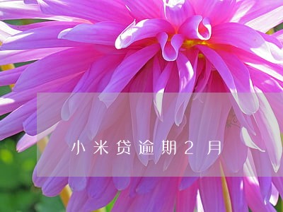 小米贷逾期2月 小米贷逾期2月