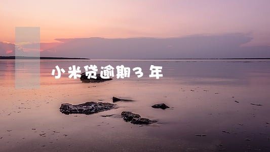小米贷逾期3年 小米贷逾期3年