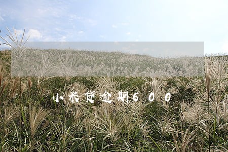 小米贷逾期600