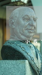 小米贷逾期了3天 小米贷逾期了3天