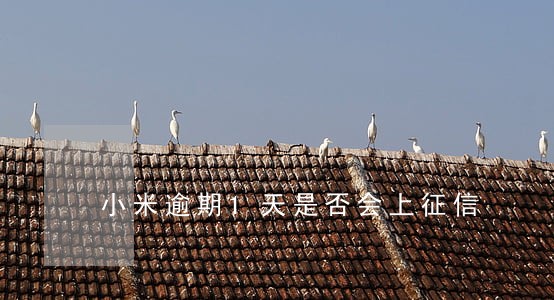 小米逾期1天是否会上征信 小米逾期1天是否会上征信