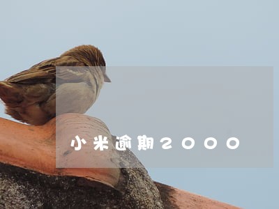 小米逾期2000 小米逾期2000