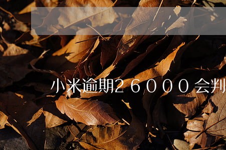 小米逾期26000会判刑吗