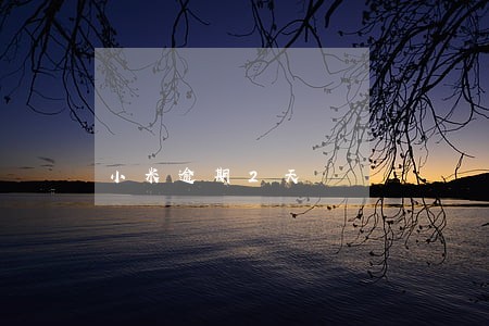 小米逾期2天 小米逾期2天