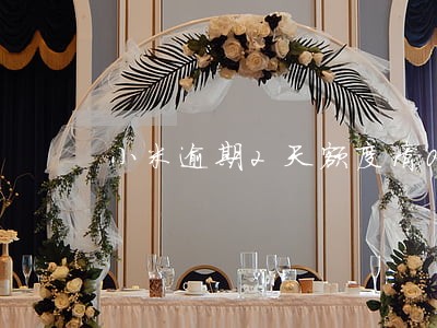 小米逾期2天额度清0 小米逾期2天额度清0
