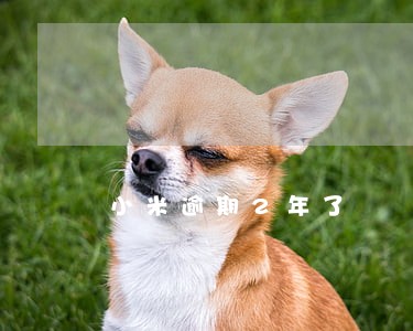小米逾期2年了 小米逾期2年了