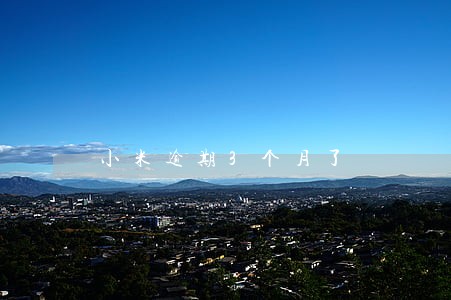 小米逾期3个月了 小米逾期3个月了