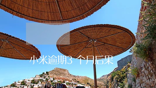 小米逾期3个月后果 小米逾期3个月后果