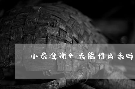 小米逾期4天能借出来吗 小米逾期4天能借出来吗